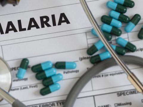 Malaria: causes, symptoms, and treatment