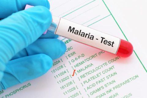 Malaria: causes, symptoms, and treatment